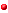 Image:Red.gif